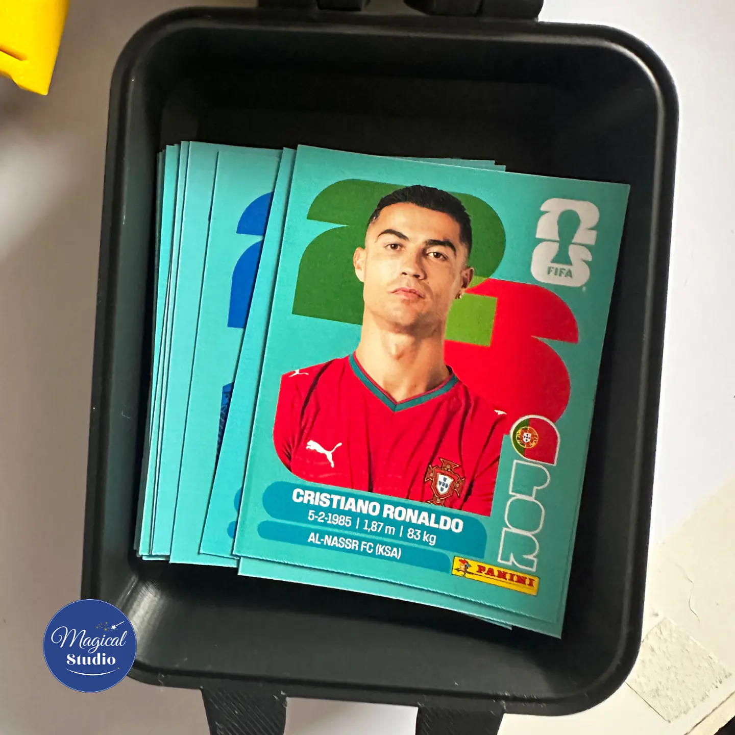 Caja de almacenamiento Láminas Mundial modelo 2 3