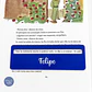 Regla guía de lectura Personalizada  - Miniatura 1