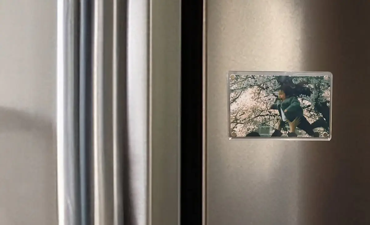 Magnet