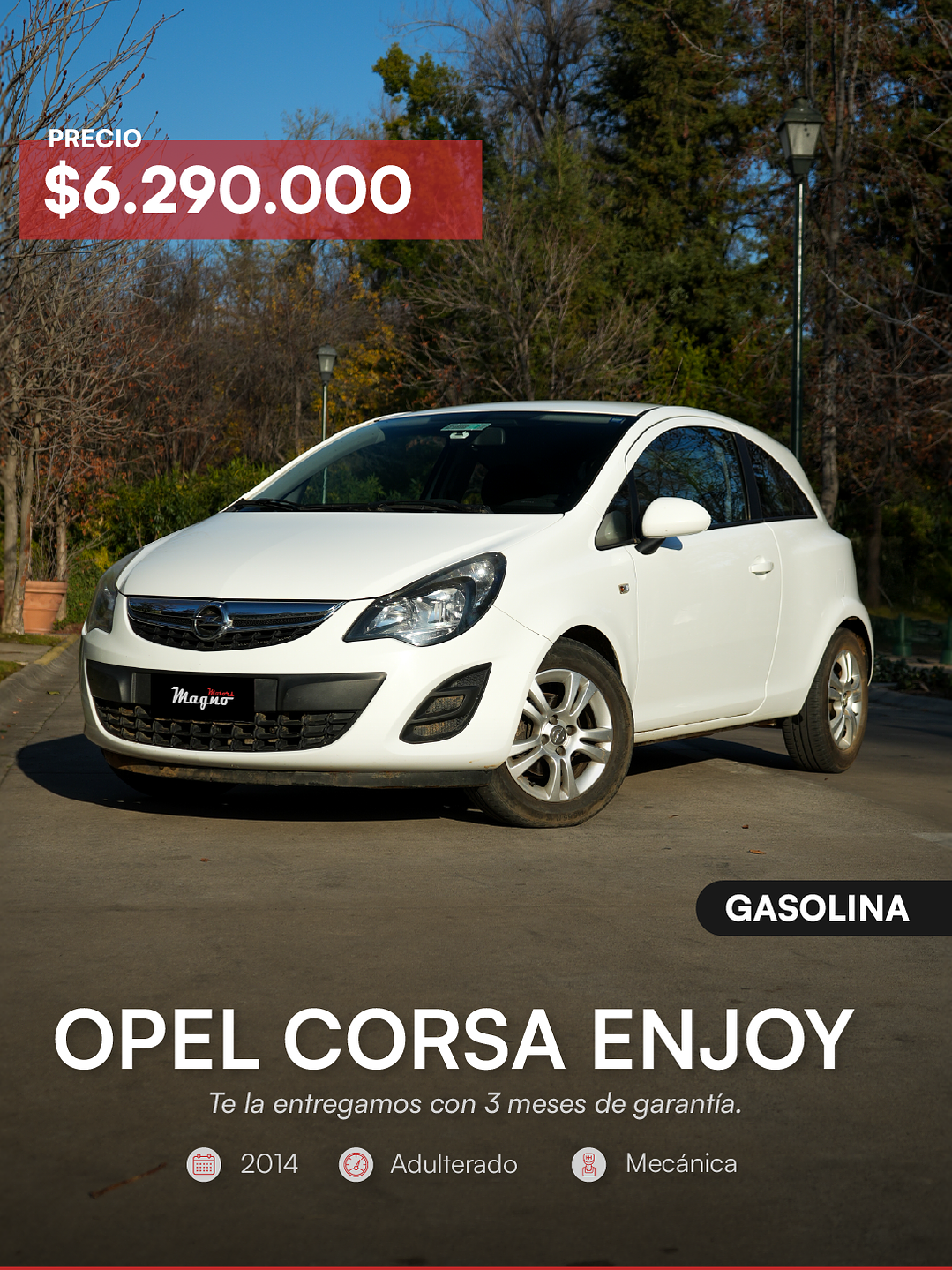 Opel Mecánico 2014 11