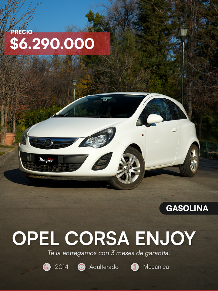 Opel Mecánico 2014 11