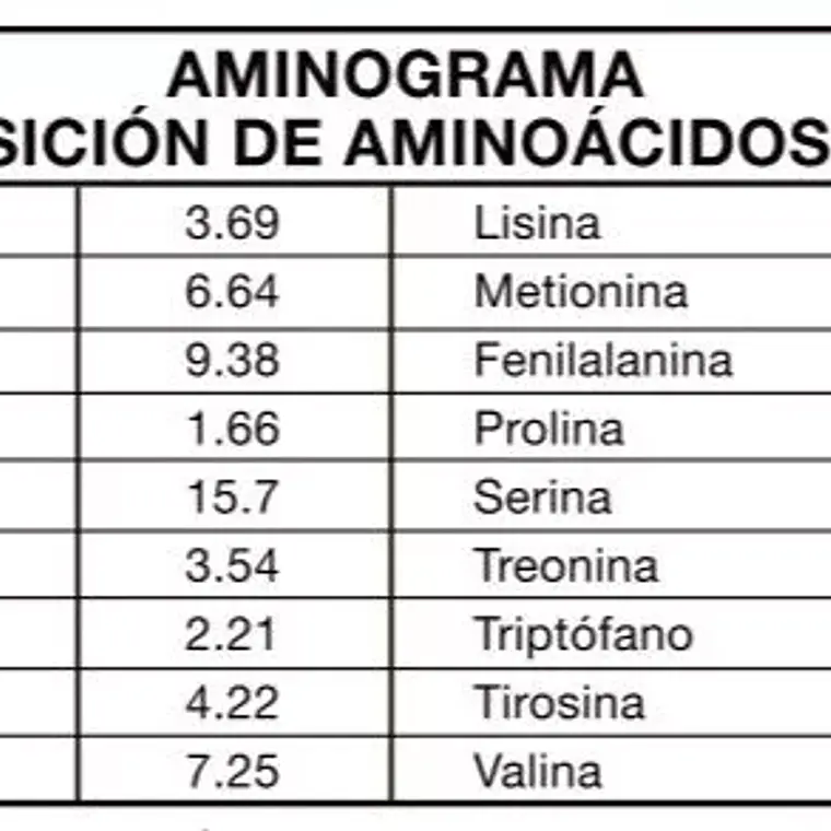 4CHEF 100% VEGAN PRO 2 LB FOODTECH SIN SABOR 3