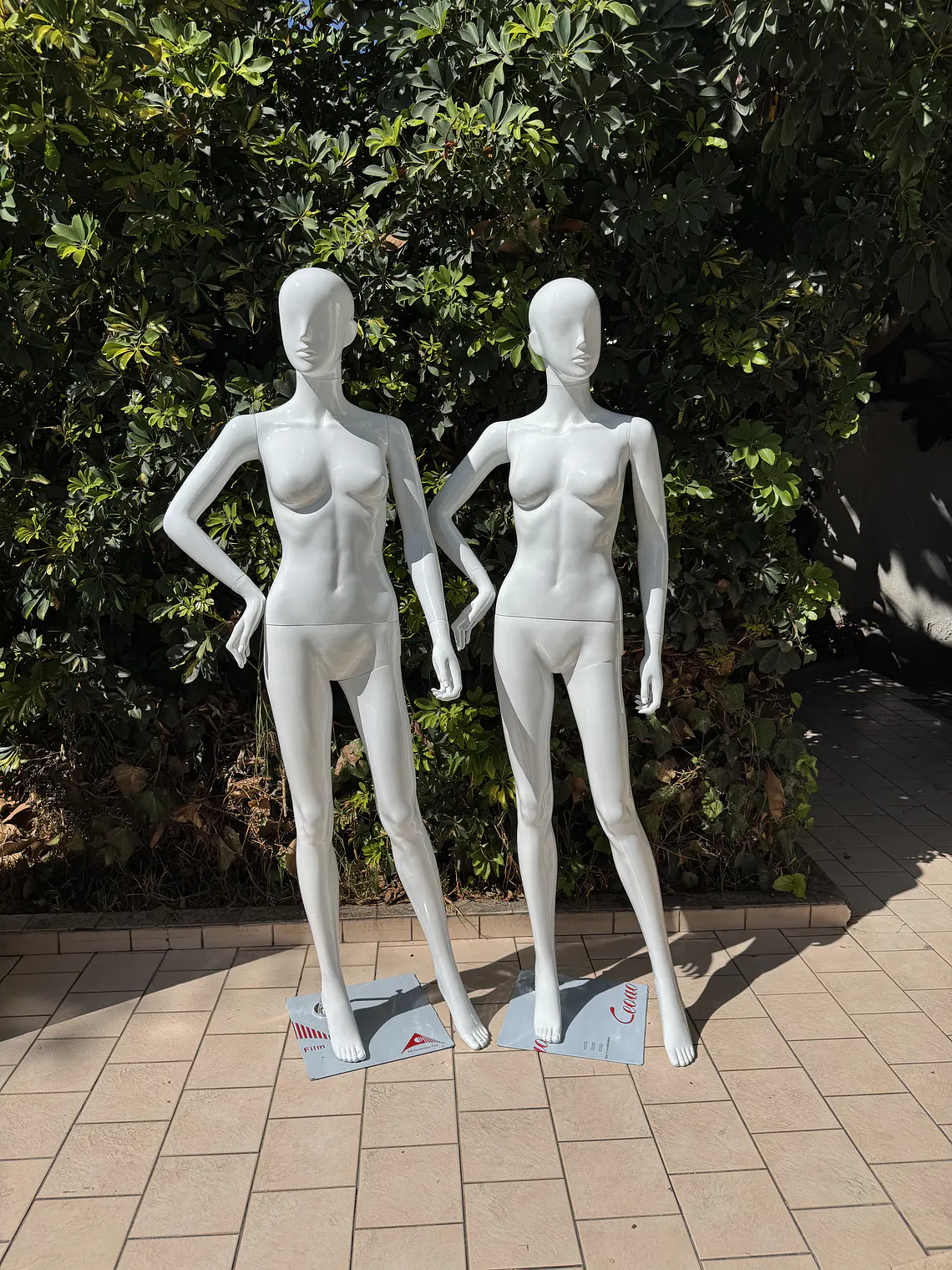 Maniquí Rostro Semi-Difuso Mujer 1
