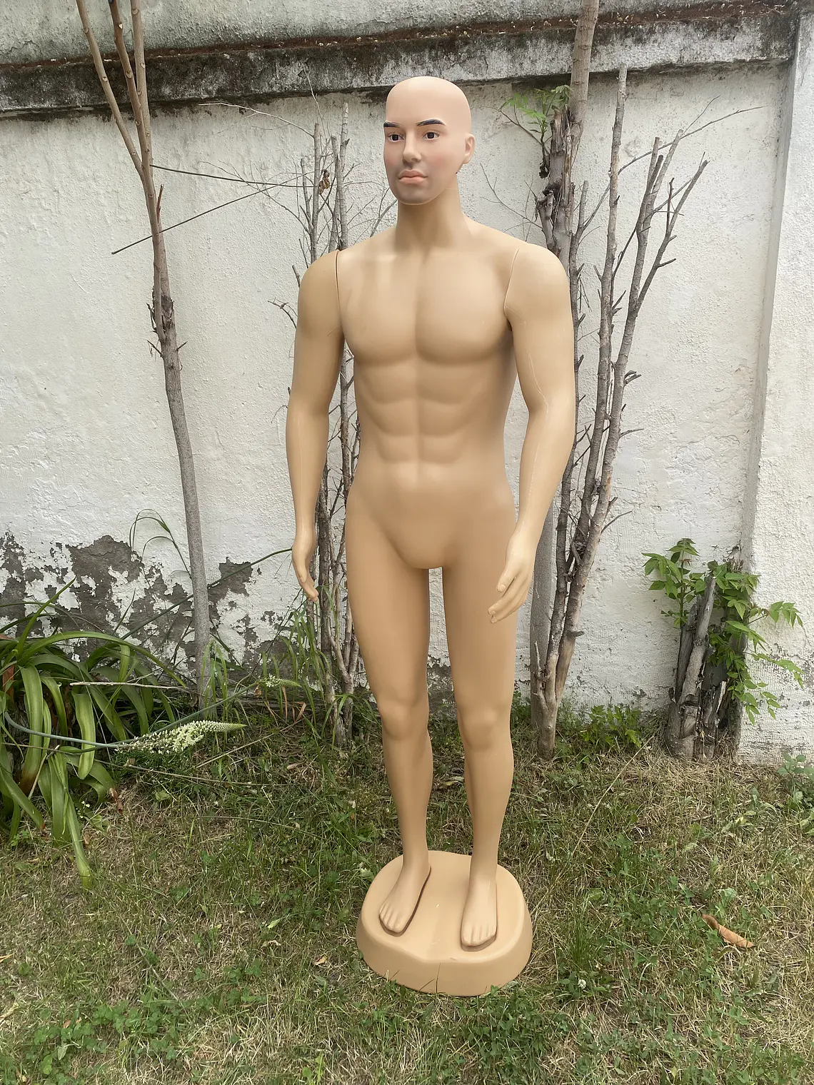Maniquí Plástico Rostro Definido Hombre 1