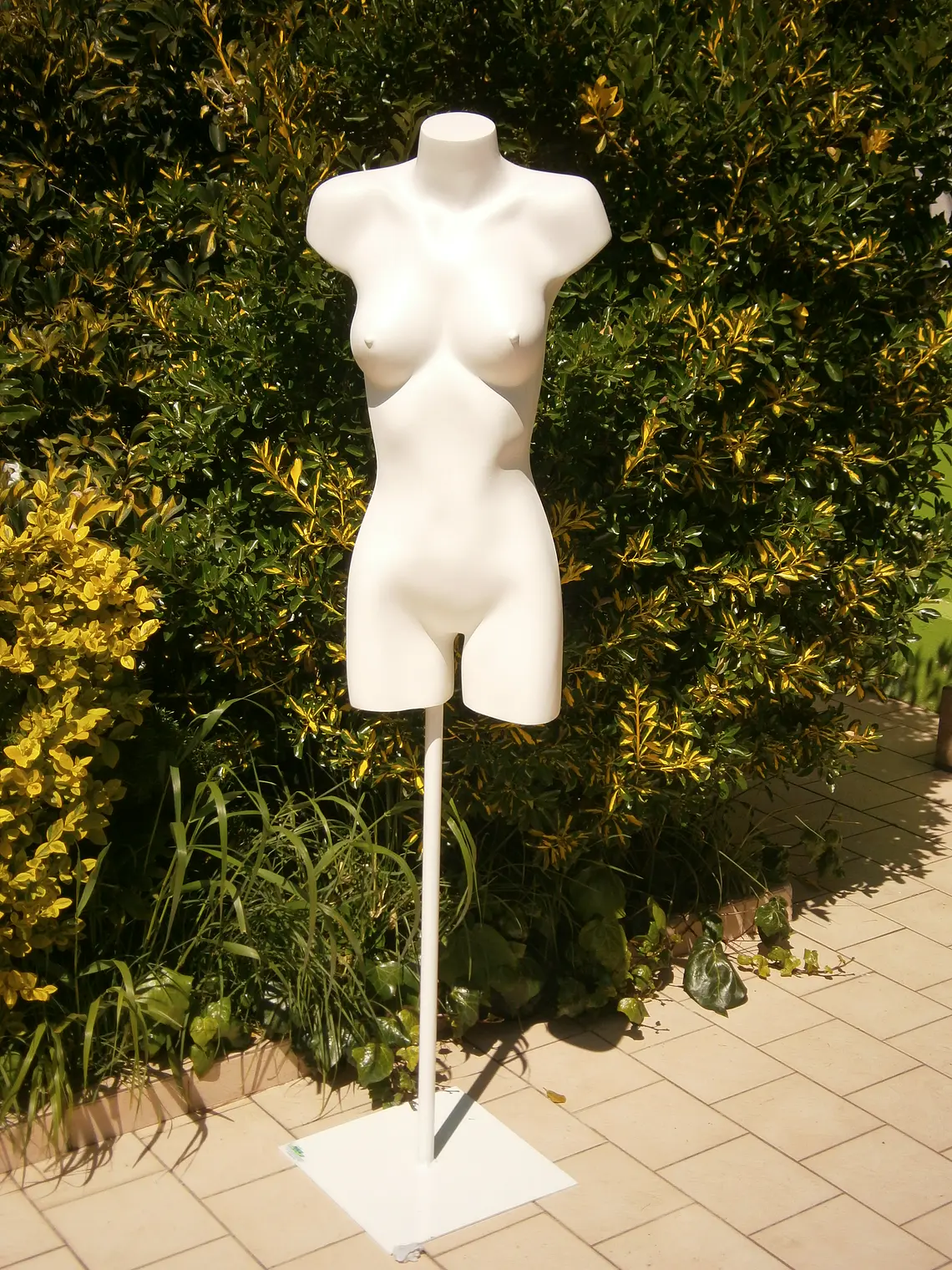 Busto Exhibición Mujer 1