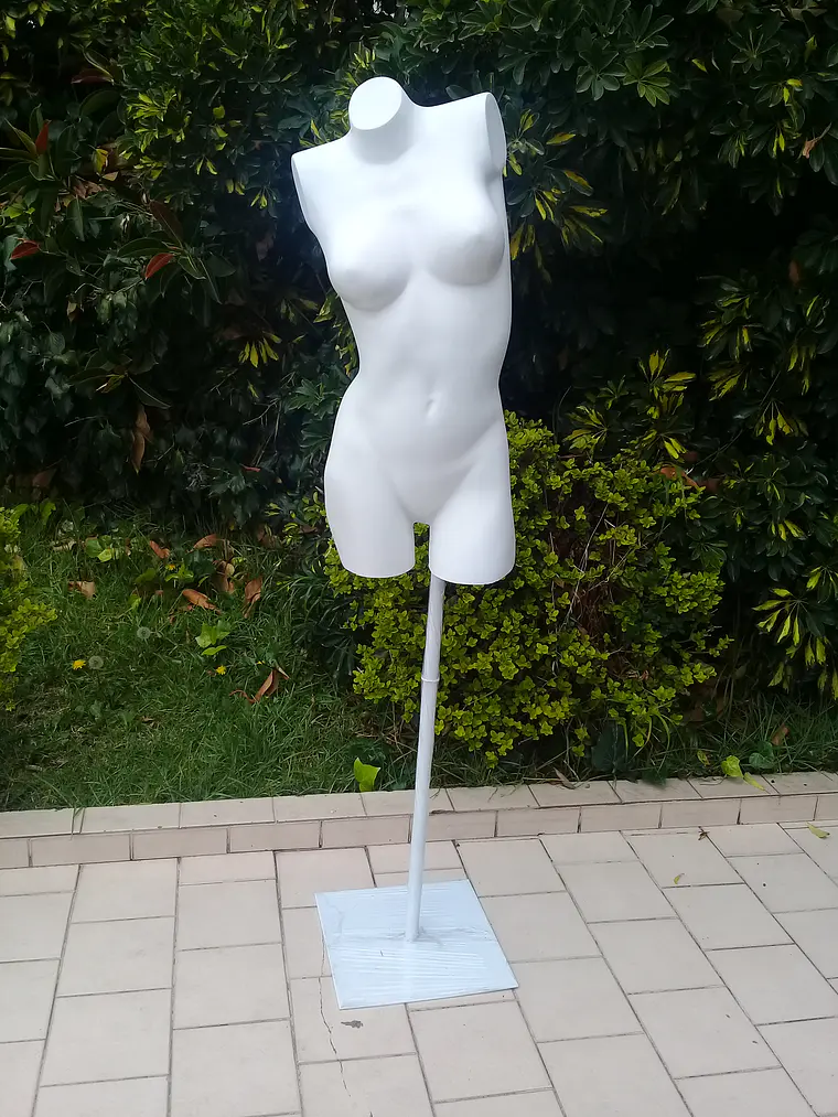 Busto Lencería Mujer 1