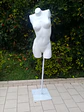 Busto Lencería Mujer - Miniatura 1