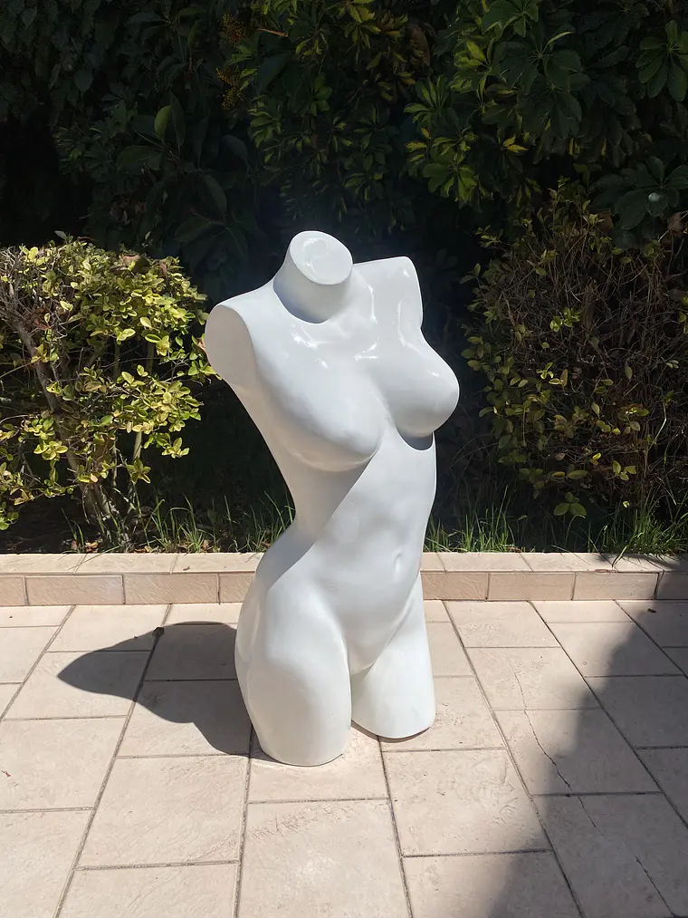 Busto Lencería Mujer 2
