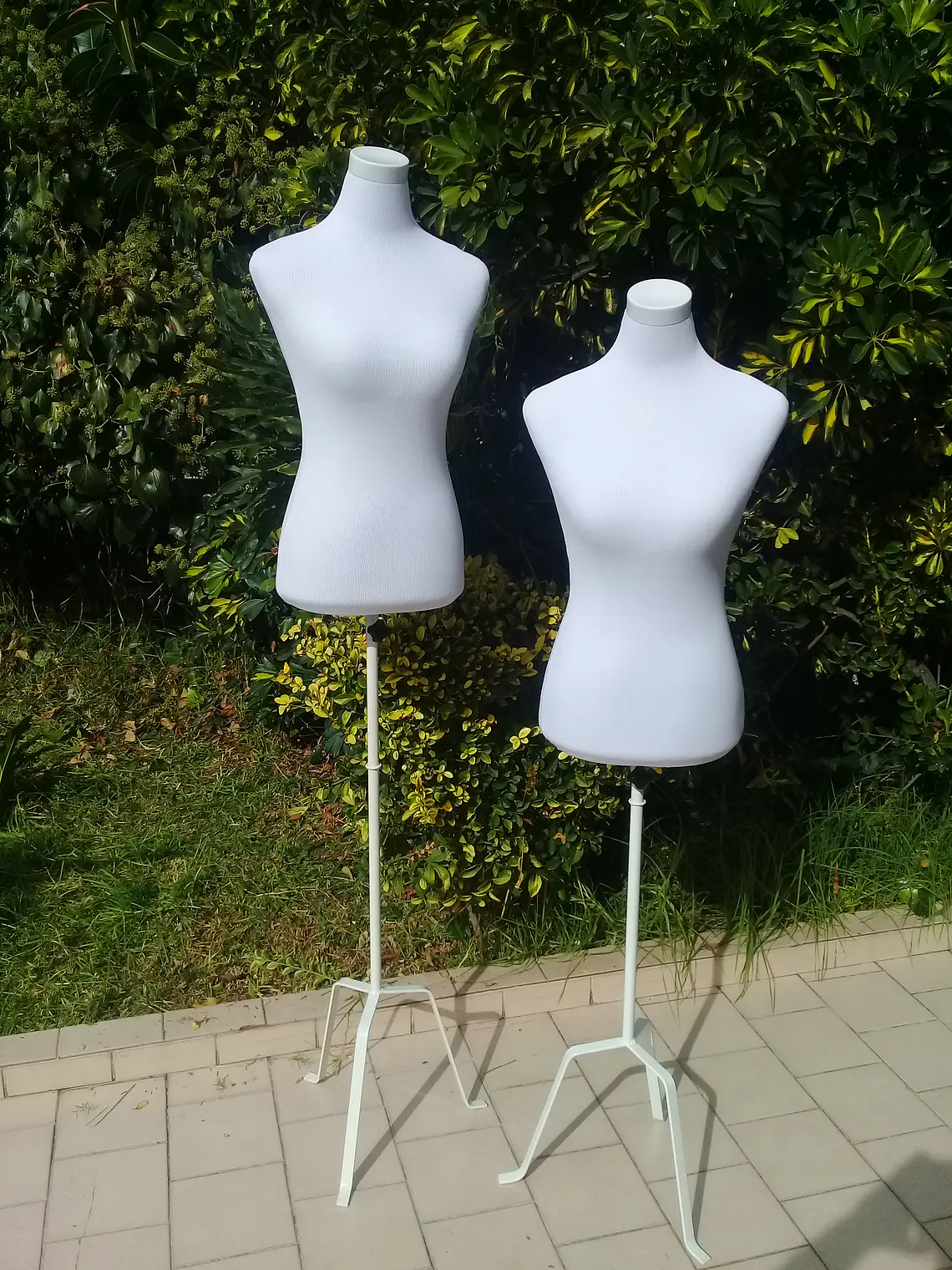 Busto Exhibición Tipo Satrero Mujer 1