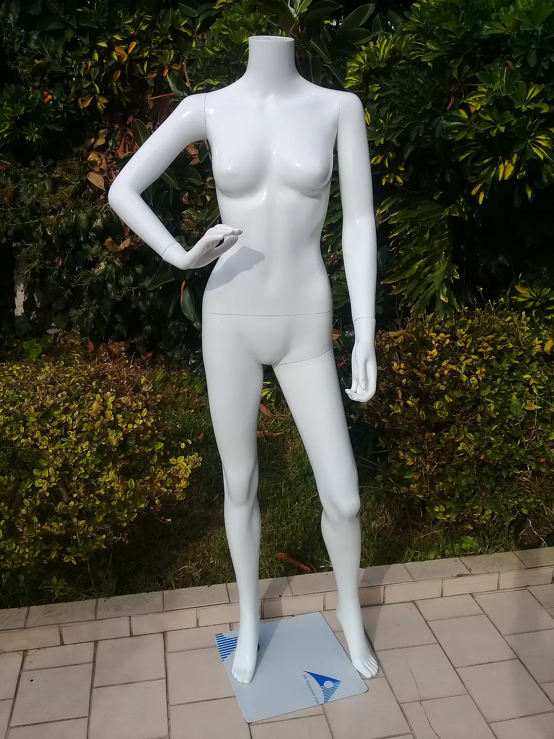 Maniquí Sin Cabeza Brazo Doblado Mujer 1