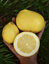 1 Kg Limones Imperfectos