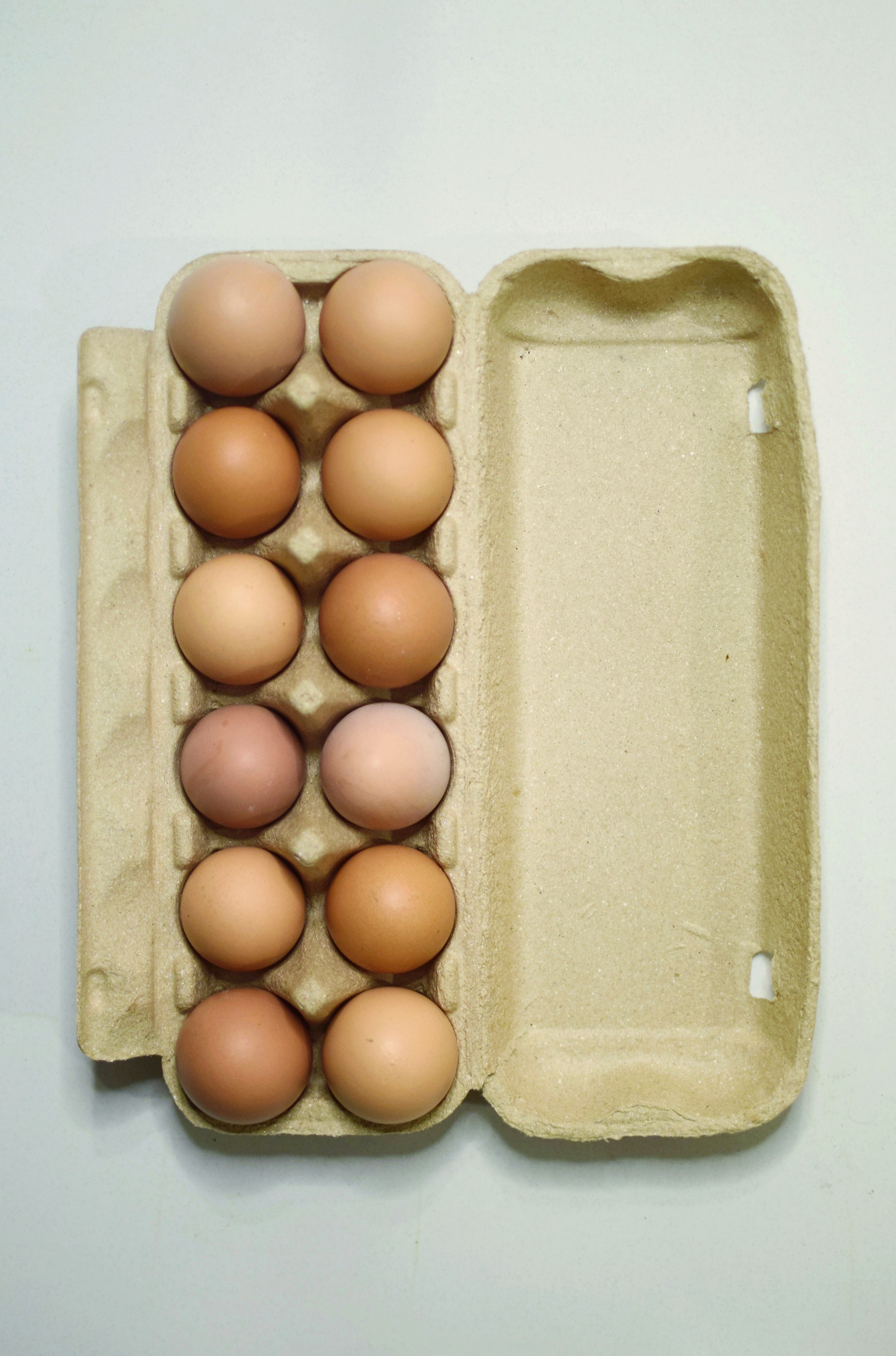 Bandeja 12 huevos Extra