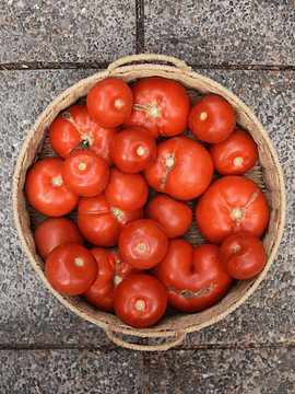 1 Kg Tomates Imperfectos