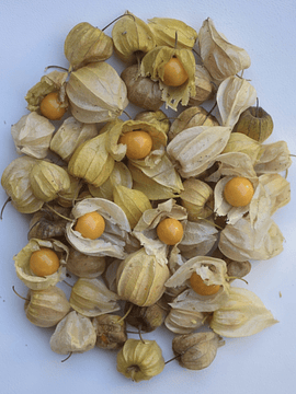 200 grs Physalis