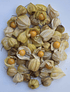 200 grs Physalis