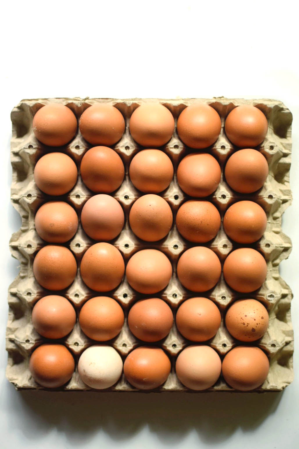 Bandeja 30 Huevos Extra Gallinas Libres