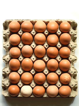 30 Huevos Extra Gallinas Libres