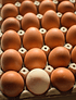 Bandeja 30 Huevos Extra