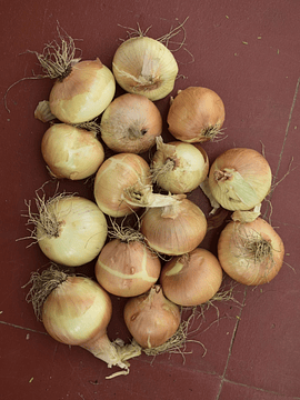 1 Kg Cebollas Amarillas