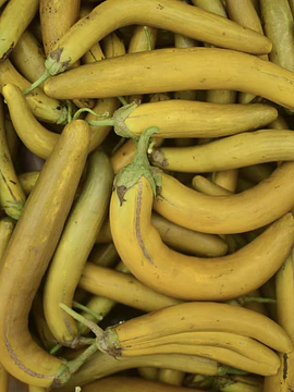 3 Un Berenjenas Japonesas Amarillas