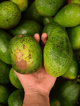 1 Kg Palta Hass