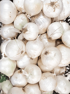 1 Kg Cebolla Blanca