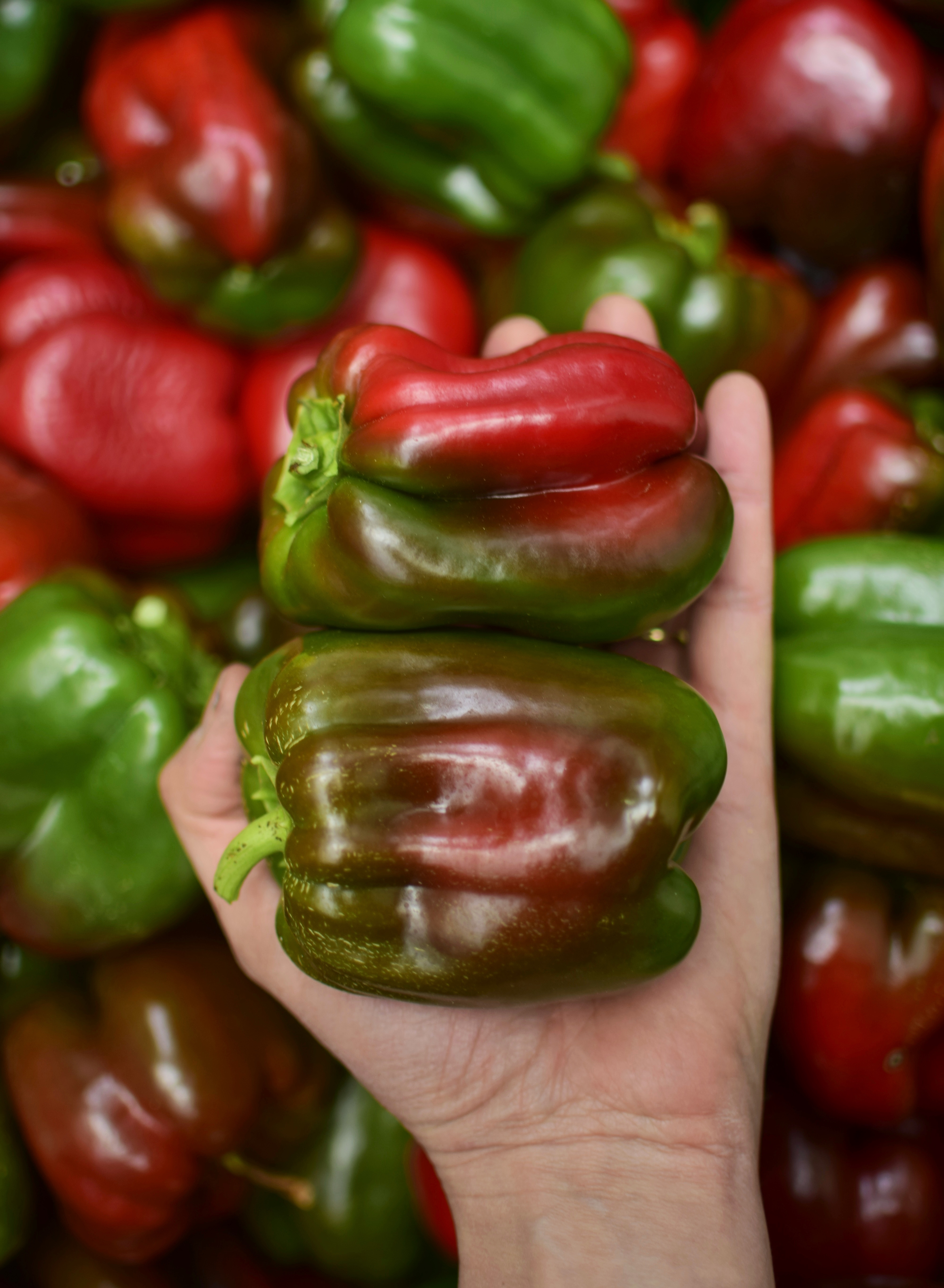 1 Un Pimentón Verde/Rojo