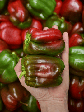 1 Un Pimentón Verde/Rojo