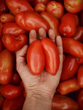 1 Kg Tomate Pera Imperfecto