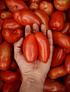 1 Kg Tomate Pera descarte