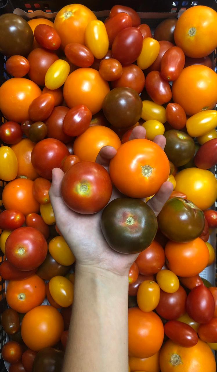 2 Kg Tomates Mix Colores