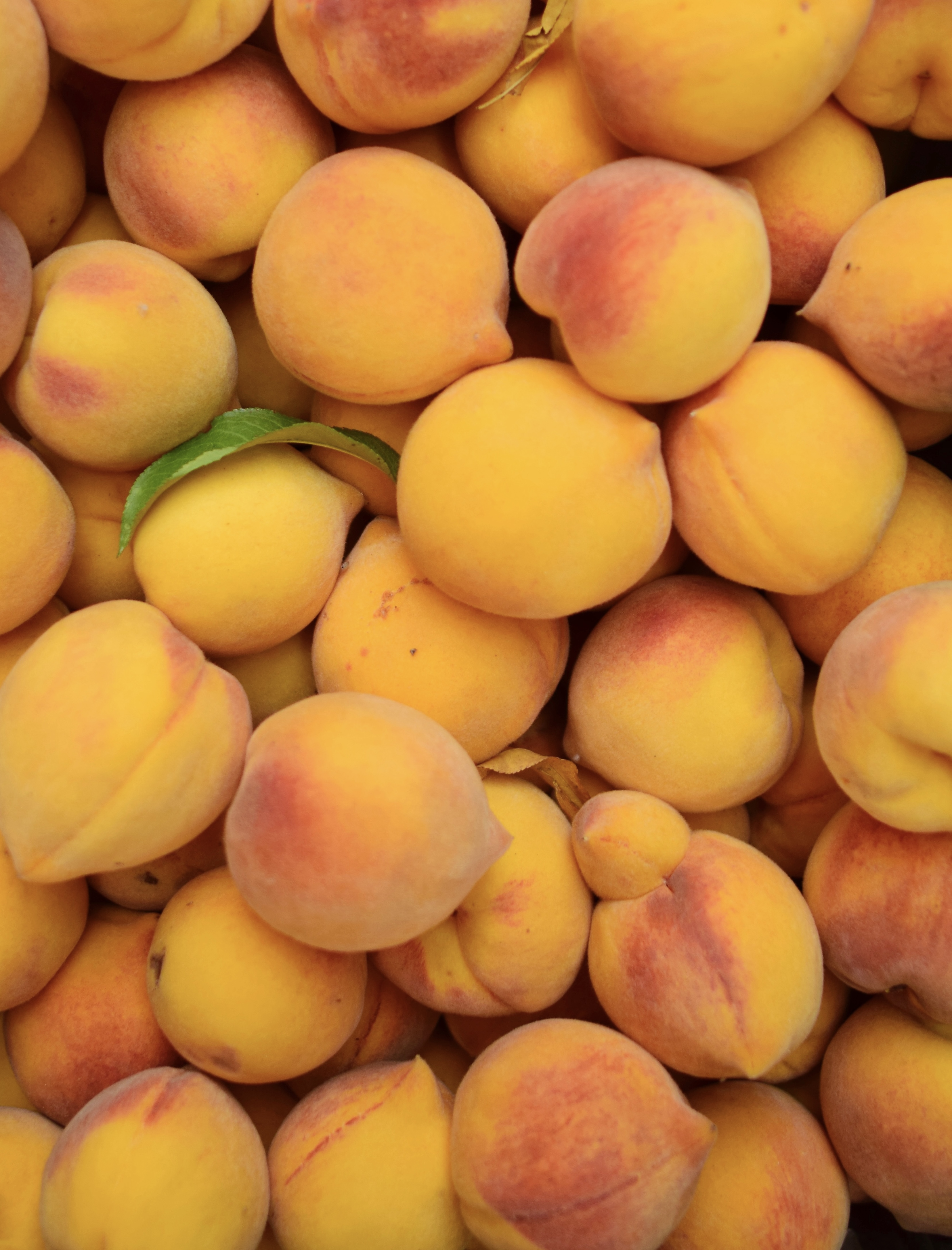 1 Kg Duraznos Conserveros