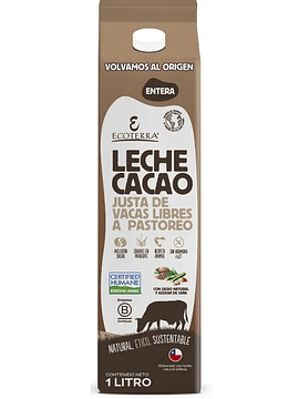 Leche Cacao Ecoterra 1 Litro