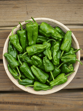 1 Kg Pimientos de Padrón/Gernika