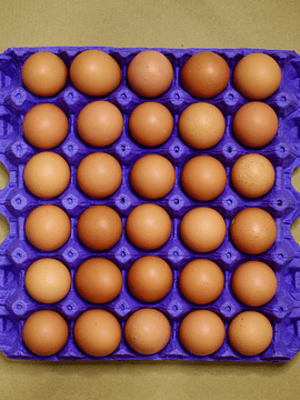 Bandeja 30 Huevos Pequeños