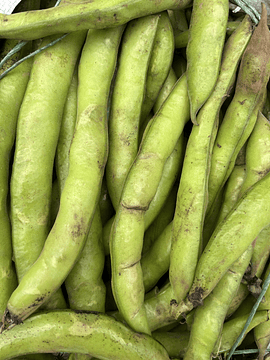 500 grs Habas en Vaina