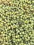 500 grs Uva Verde