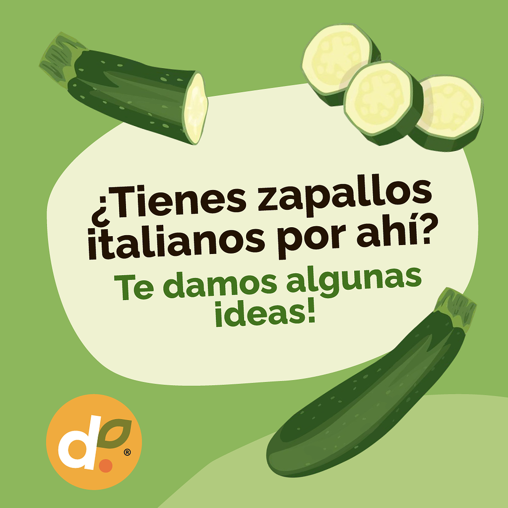 5 recetas creativas con zapallo italiano