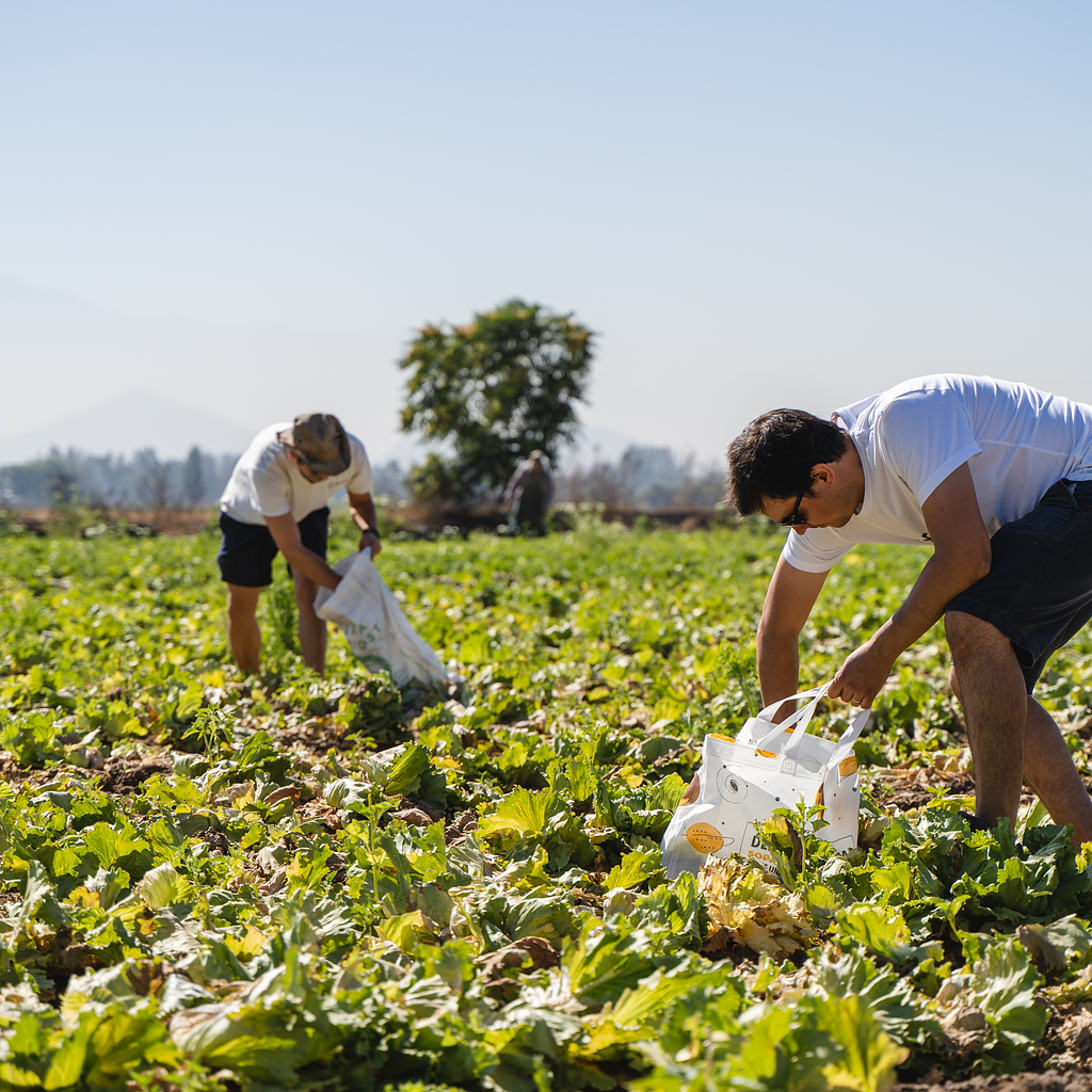 De una comunidad en Facebook a un negocio justo: la historia detrás de Maifud