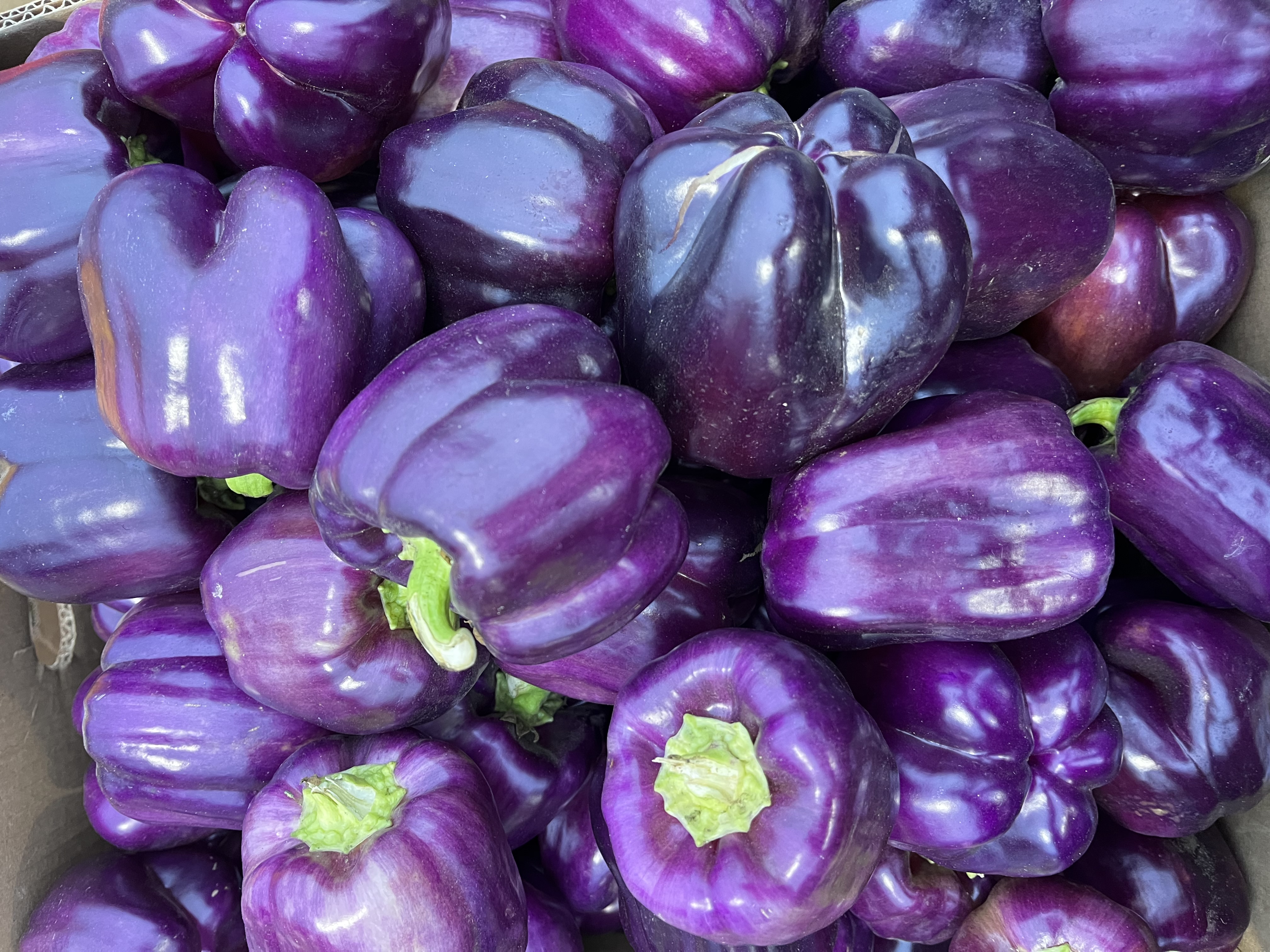 1 Un Pimentón Morado