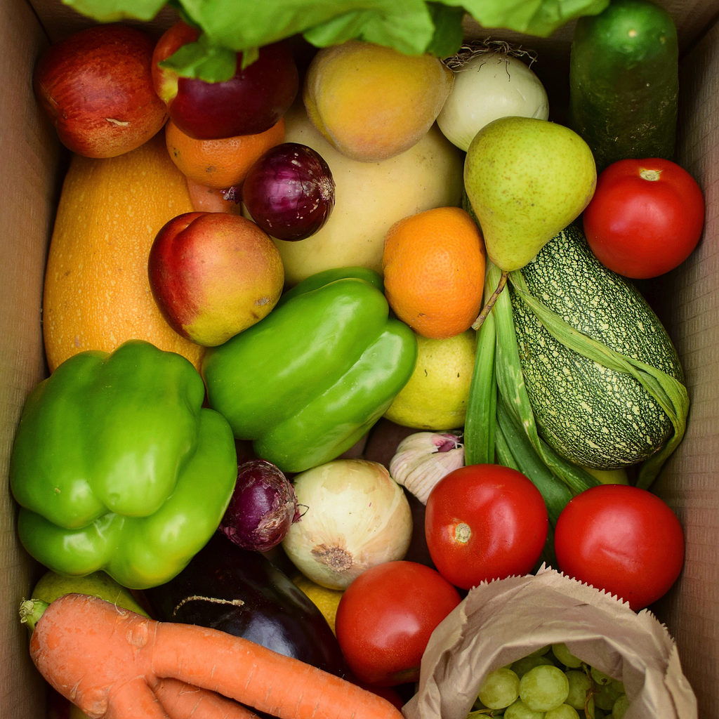 Los 10 mandamientos para evitar botar comida