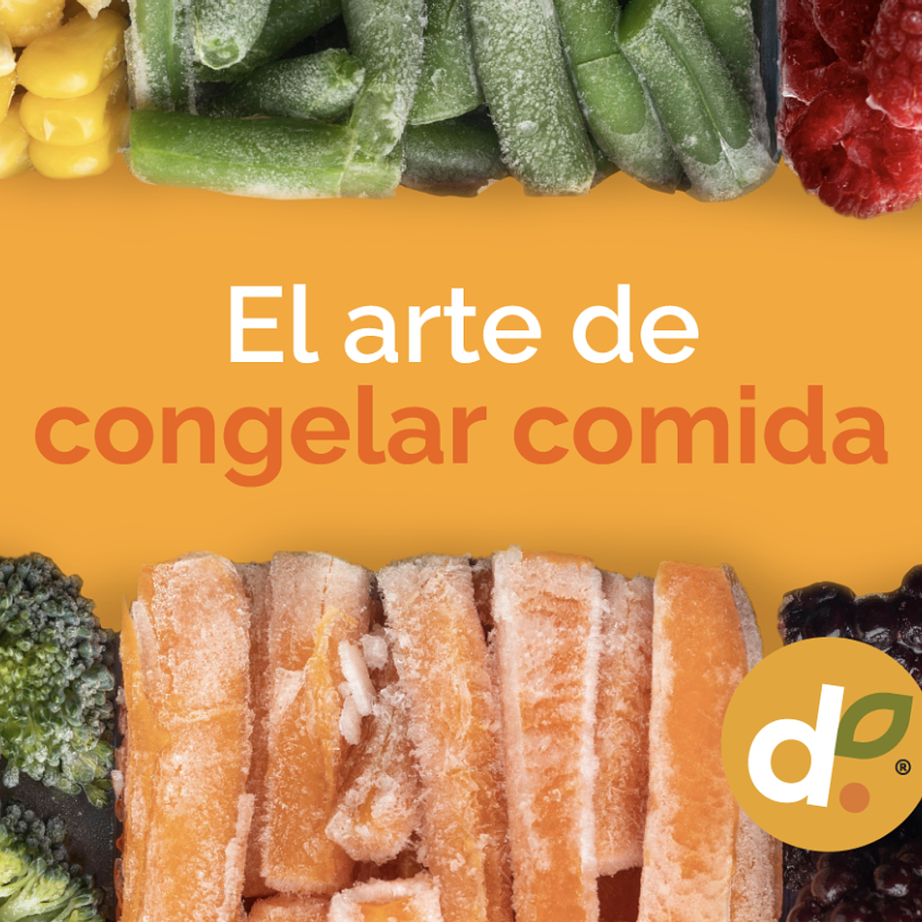 Cómo Dominar el Arte de Congelar Comida