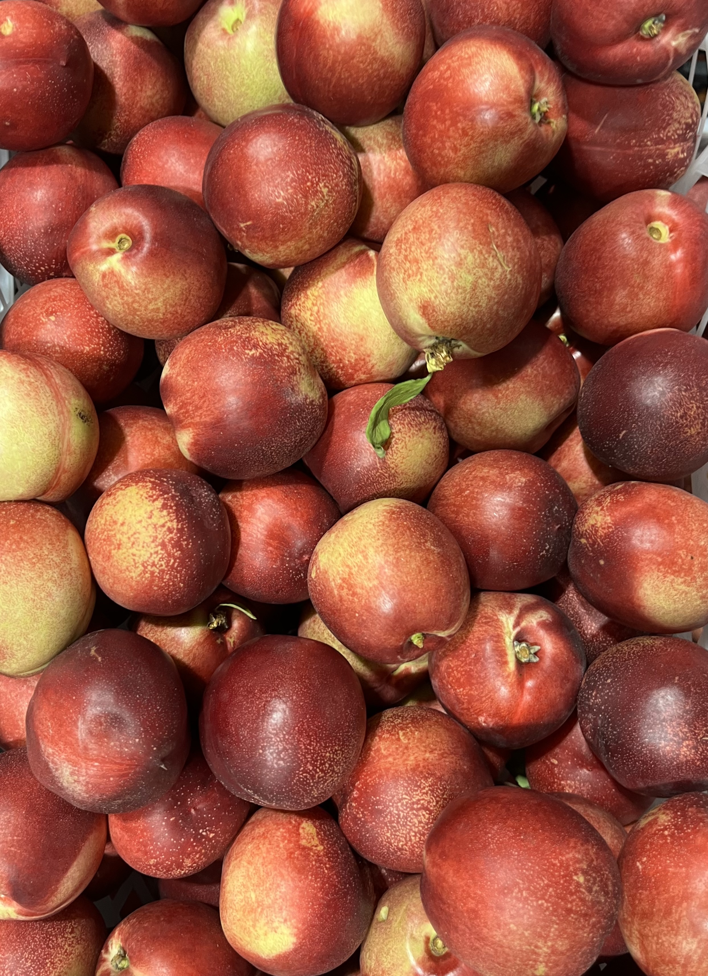 1 Kg Nectarín Platano