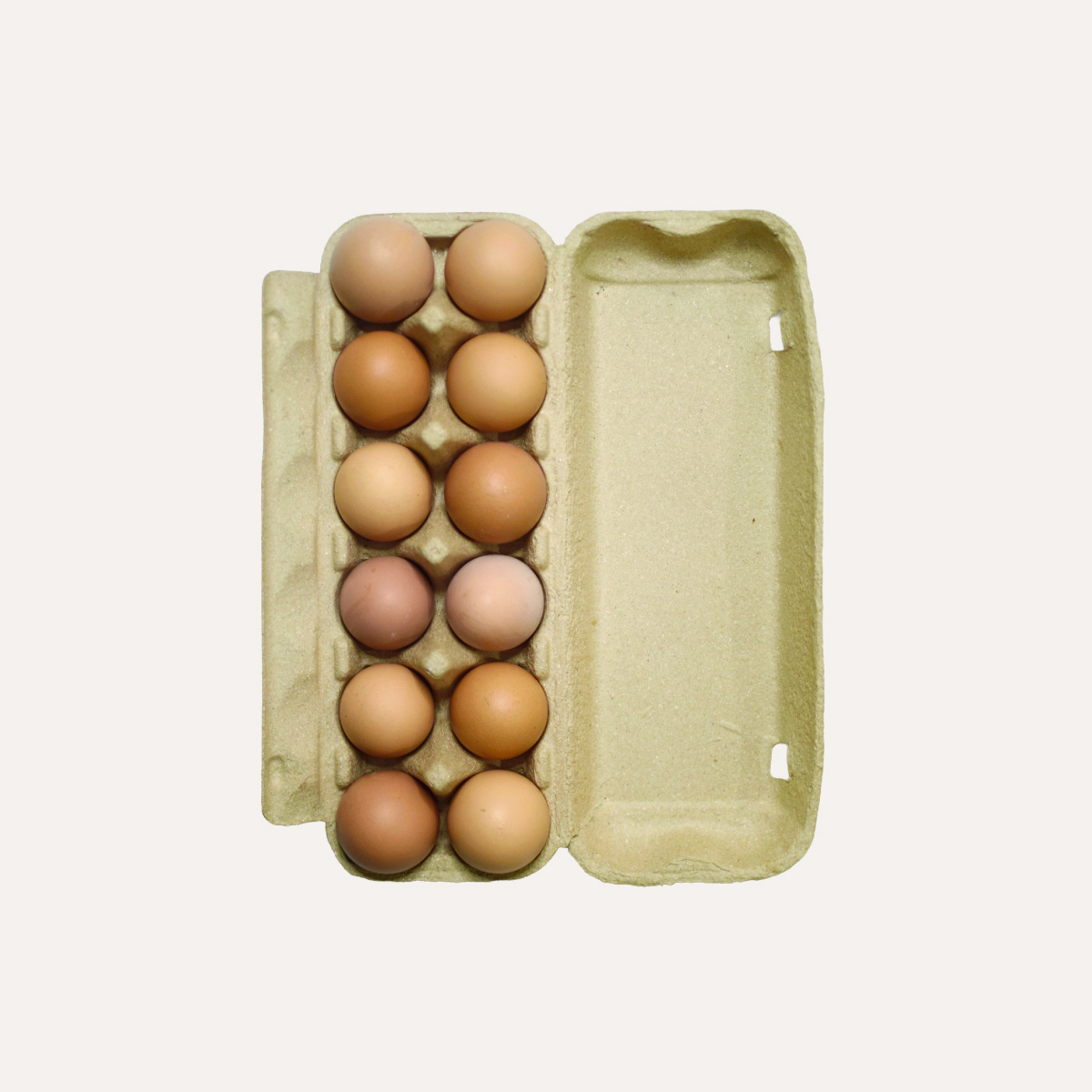 Bandeja 12 Huevos Extra