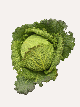 1 Un Repollo Verde