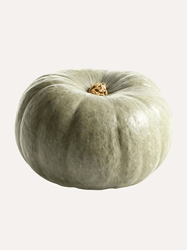 1 Un Zapallo Diaguita