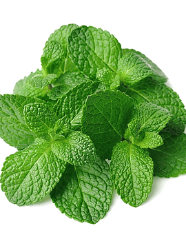 50 grs Menta Fresca