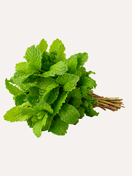 50 grs Menta Fresca