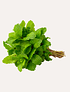 50 grs Menta Fresca