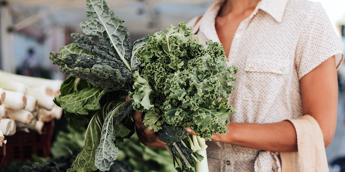 Kale: El Superalimento que Finalmente Llegó a Maifud (Y Por Qué Deberías Agregarlo a Tu Caja Esta Semana)